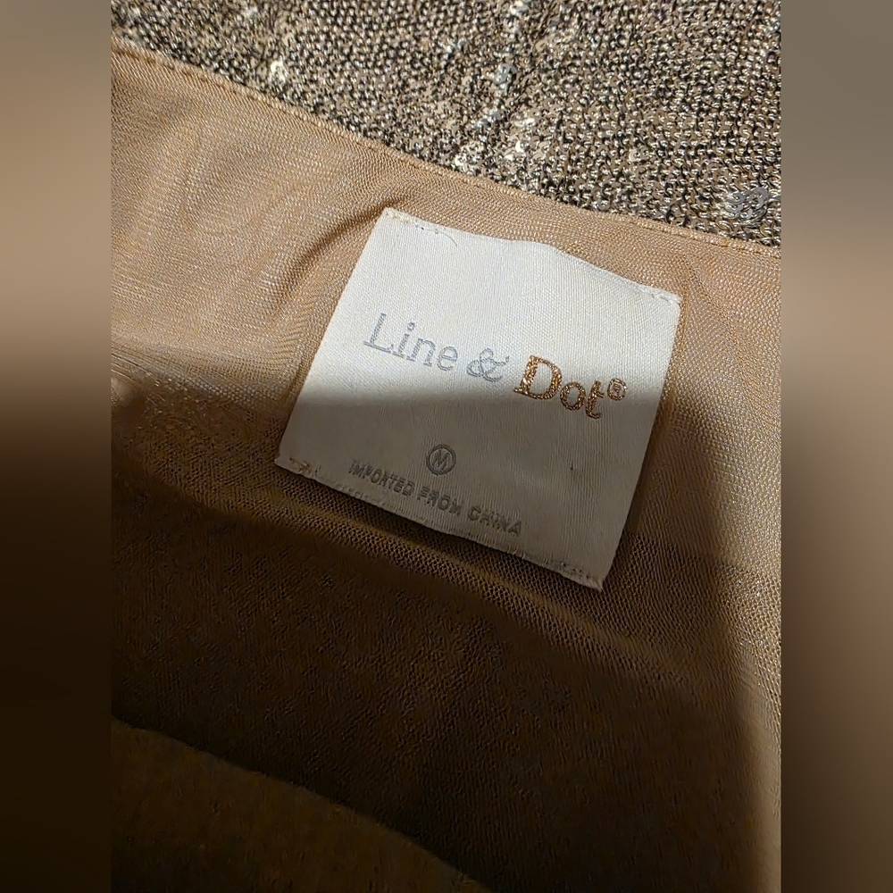 Line & Dot Gold Sequin Maxi Skirt - Picture 4 of 6